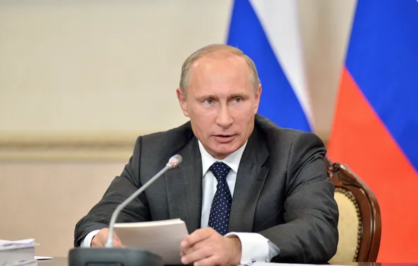 Picture Putin, Male, Vladimir Putin, The President Of Russia, Vladimir Putin, 2014, Vladimir Vladimirovich Putin