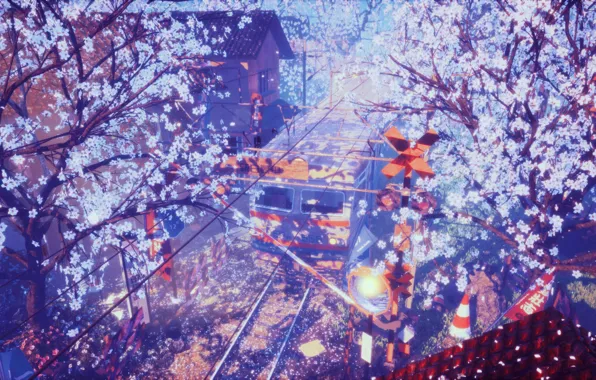 Picture train, spring, station, Sakura