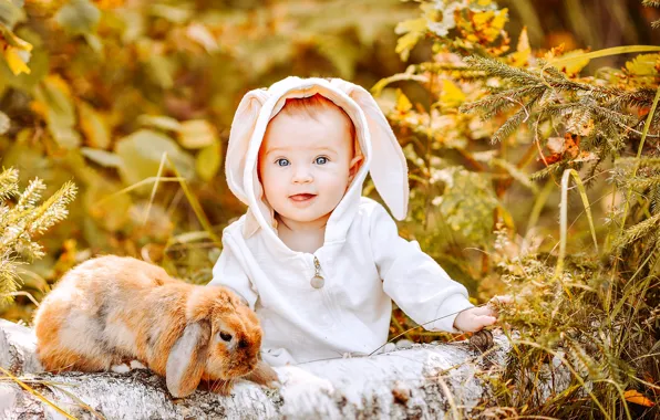 Picture autumn, forest, joy, nature, animal, rabbit, baby, trunk, log, child, baby, Anastasia Alekseeva
