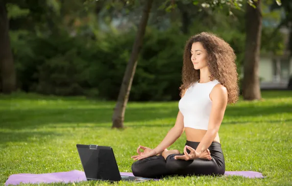 Picture greens, grass, girl, the sun, trees, pose, lawn, glade, makeup, Mike, figure, hairstyle, yoga, laptop, …