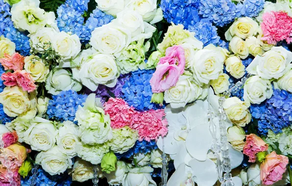 Picture flowers, roses, colorful, white, blue, pink, flowers, roses