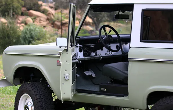 Picture Ford, the door, 2018, Bronco, ICON Old School BR