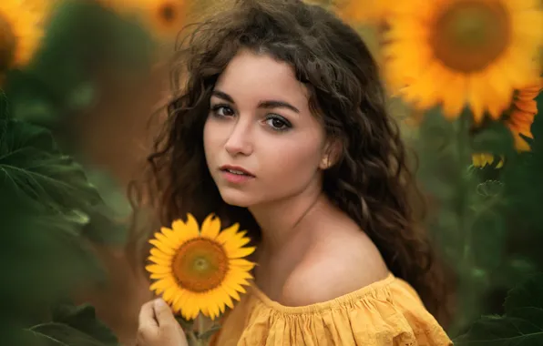 Picture look, girl, face, mood, sunflower