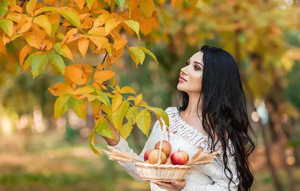 Picture autumn, leaves, hair, apples, Girl, brunette, A Diakov George