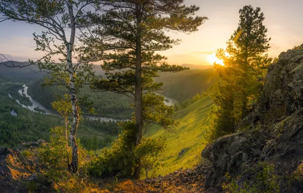 Picture autumn, the sun, trees, landscape, mountains, nature, river, the evening, pine, birch, forest, pass, Krasnoyarsk …