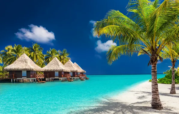 Picture sand, sea, beach, the sky, the sun, clouds, tropics, palm trees, coast, horizon, The Maldives, …