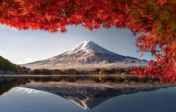 Picture autumn, leaves, Fuji