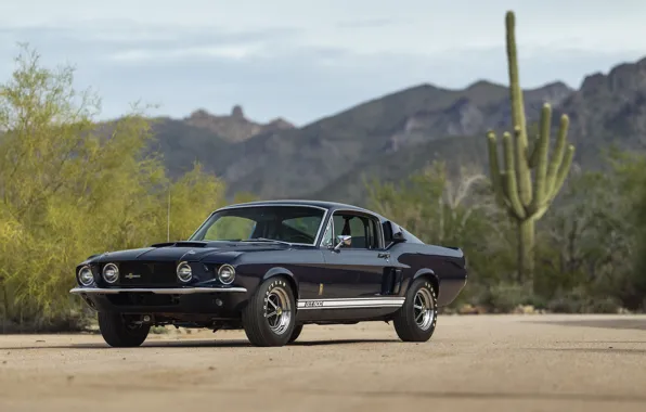 Picture Mustang, Shelby, GT500, 1967