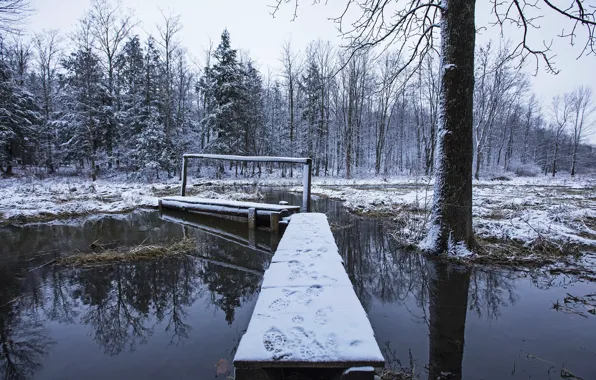 Picture winter, bridge, nature