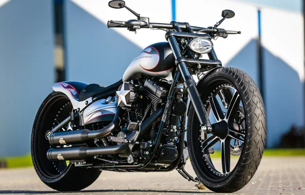 Picture Harley-Davidson, Softail, Thunderbike, Custom bike