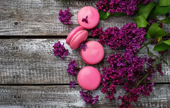 Picture wood, pink, flowers, lilac, macaroons, macaron, lilac, macaroon
