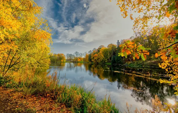 Picture autumn, the sky, trees, river
