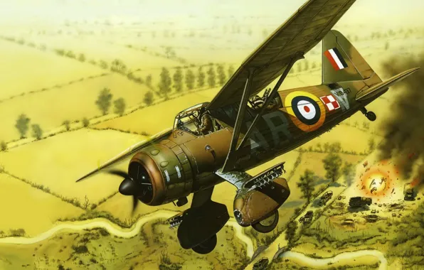 Picture Mk. III, British light aircraft, Westland Lysander, interaction with land forces