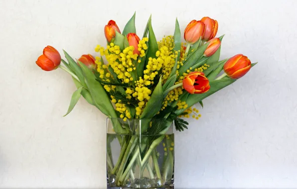 Picture flowers, background, bouquet, tulips, vase, Mimosa, spring bouquet