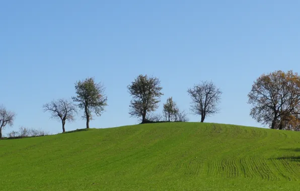 Picture trees, hills, Pieria