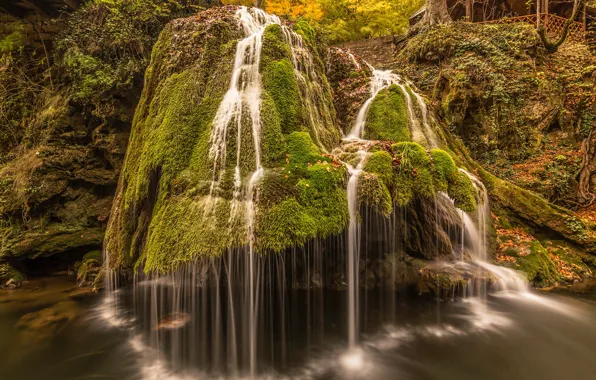 Picture leaves, stones, waterfall, moss, Romania, Bigar Waterfall
