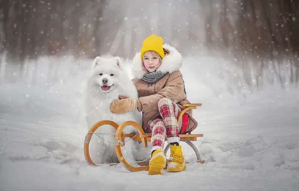 Picture winter, snow, dog, girl, sled, dog, teen, Ксения Лысенкова