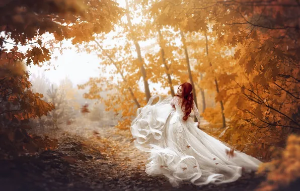 Picture autumn, girl, photo, foliage, dress, red, the bride, Ekaterina Skorobogatova