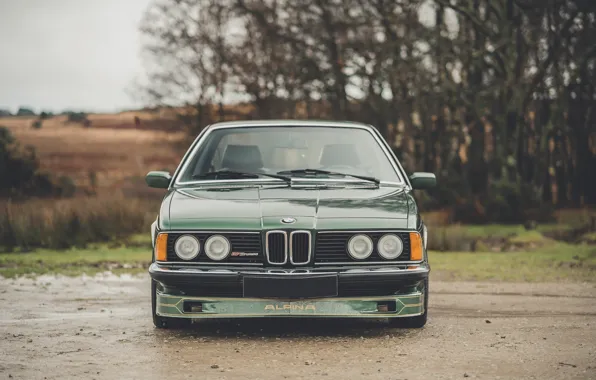 Picture BMW, Green, Front, Turbo, Face, E24, 1982, Alpina, Alpina B7, Alpina B7 S