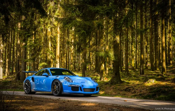 Picture 911, Porsche, Blue, Green, Evening, GT3 RS, Forest, VAG