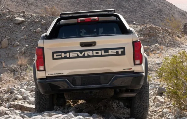 Picture Chevrolet, rear view, Colorado, Chevrolet Colorado, 2022