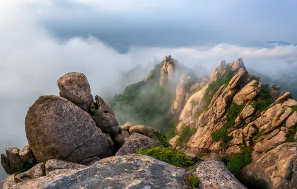 Picture clouds, landscape, mountains, nature, fog, South Korea, reserve, Wolchulsan National Park