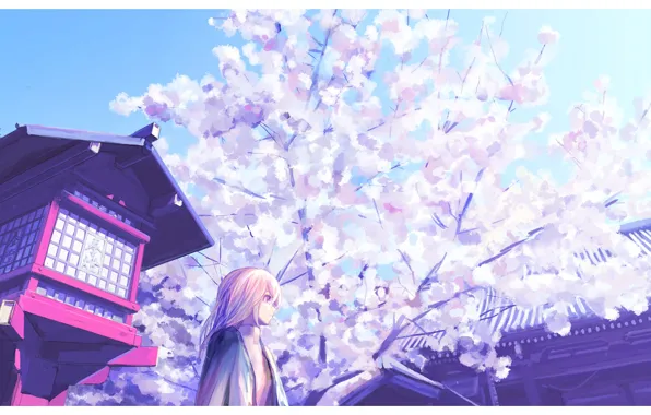Picture girl, spring, Sakura, temple