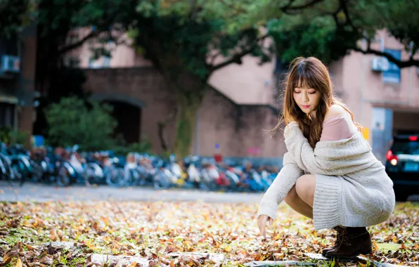 Picture leaves, girl, pose, Asian, sitting, cutie, bokeh