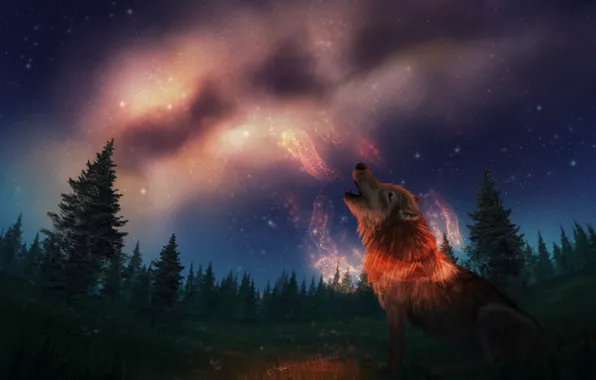 Picture night, nature, wolf, fantasy, the milky way, howling, by CreeperMan0508