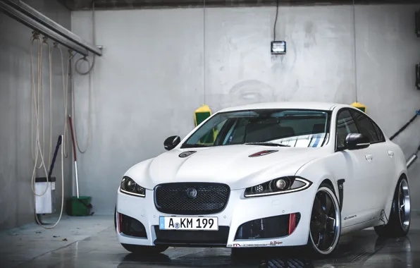 Picture Jaguar, Front, White, 2M-Designs