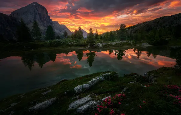 Picture forest, summer, clouds, sunset, flowers, mountains, lake, reflection, stones, shore, the evening, pond