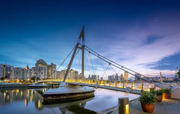 Picture bridge, night, Singapore, architecture