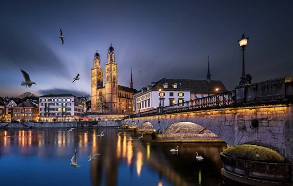 Picture birds, bridge, the city, river, building, the evening, Switzerland, lighting, lights, Church, tower, swans, Zurich