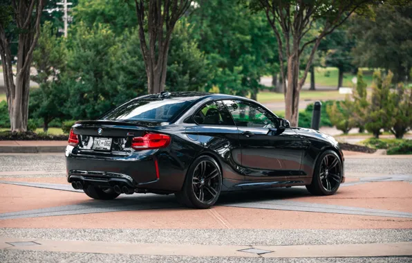 Picture BMW, COUPE, F87, M2