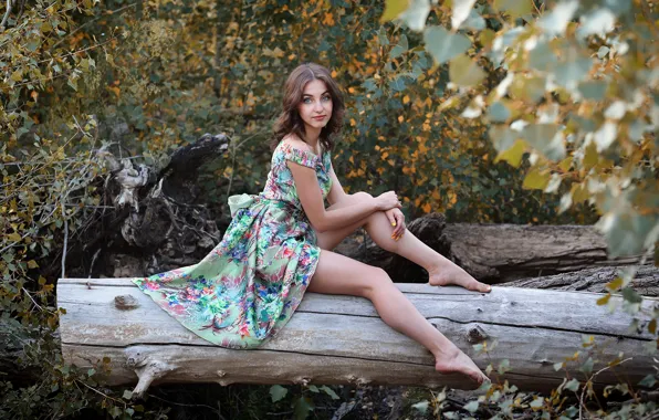 Picture look, foliage, cute girl, slender legs, Murat Kuzhakhmetov, Poas, сидя на дереве