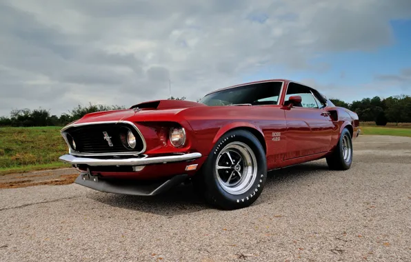 Picture Mustang, Red, Boss 429