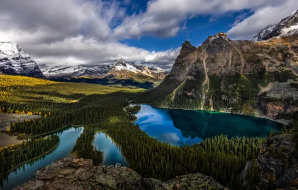 Picture forest, clouds, mountains, Canada, Canada, British Columbia, lake, British Columbia, Yoho National Park, Lake O'Hara, …