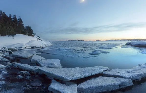 Picture water, snow, trees, Nature, ice, Lake Ladoga, Karelia