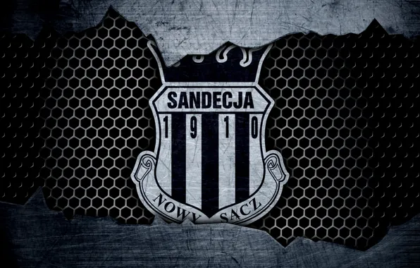 Picture wallpaper, sport, logo, football, Sandecja