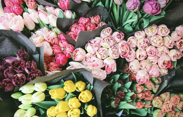 Picture flowers, bouquet, spring, yellow, tulips, pink, buds, a lot, lilac, bouquets