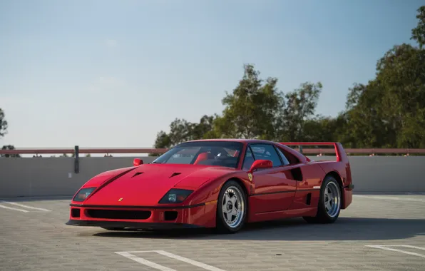 Picture Red, F40, Parking, Trees