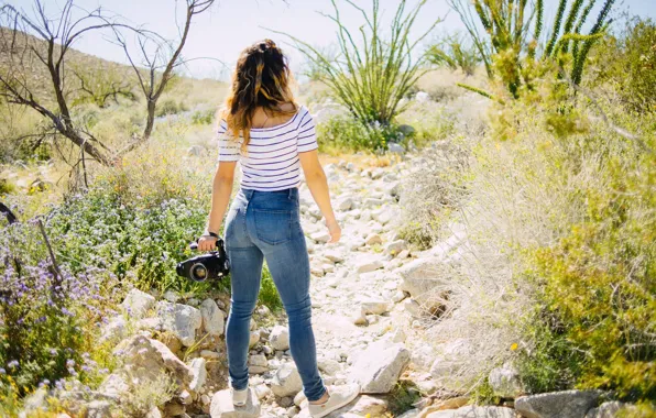 Picture girl, the sun, flowers, nature, stones, back, jeans, the camera