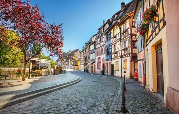 Picture tree, street, France, home, pavers, Colmar