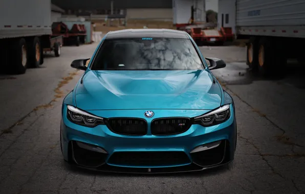 Picture BMW, Blue, Front, Face, F80, Sight