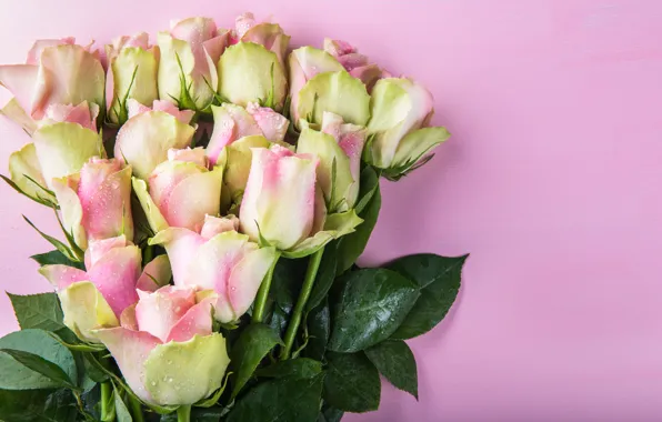 Picture background, pink, roses, bouquet, beautiful