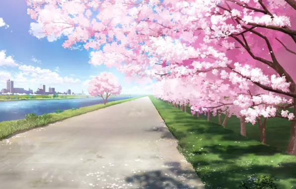 Picture the city, river, spring, Sakura