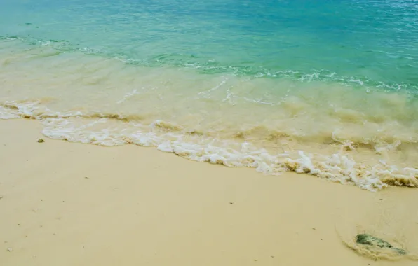 Picture sand, sea, wave, beach, summer, summer, beach, sea, blue, sand, wave