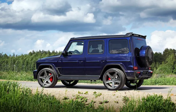 Picture Mercedes-Benz, Inferno, Road, Ball Wed, G-Class, Forest, W463, Rear