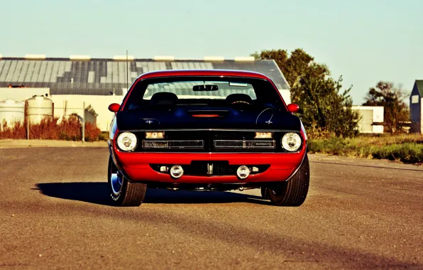 Picture Muscle, Red, Car, Old, Plymouth Hemi CUDA