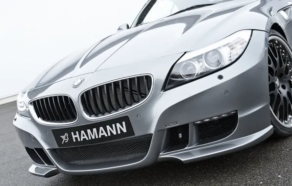 Picture grey, BMW, Roadster, Hamann, 2010, bumper, E89, BMW Z4, Z4
